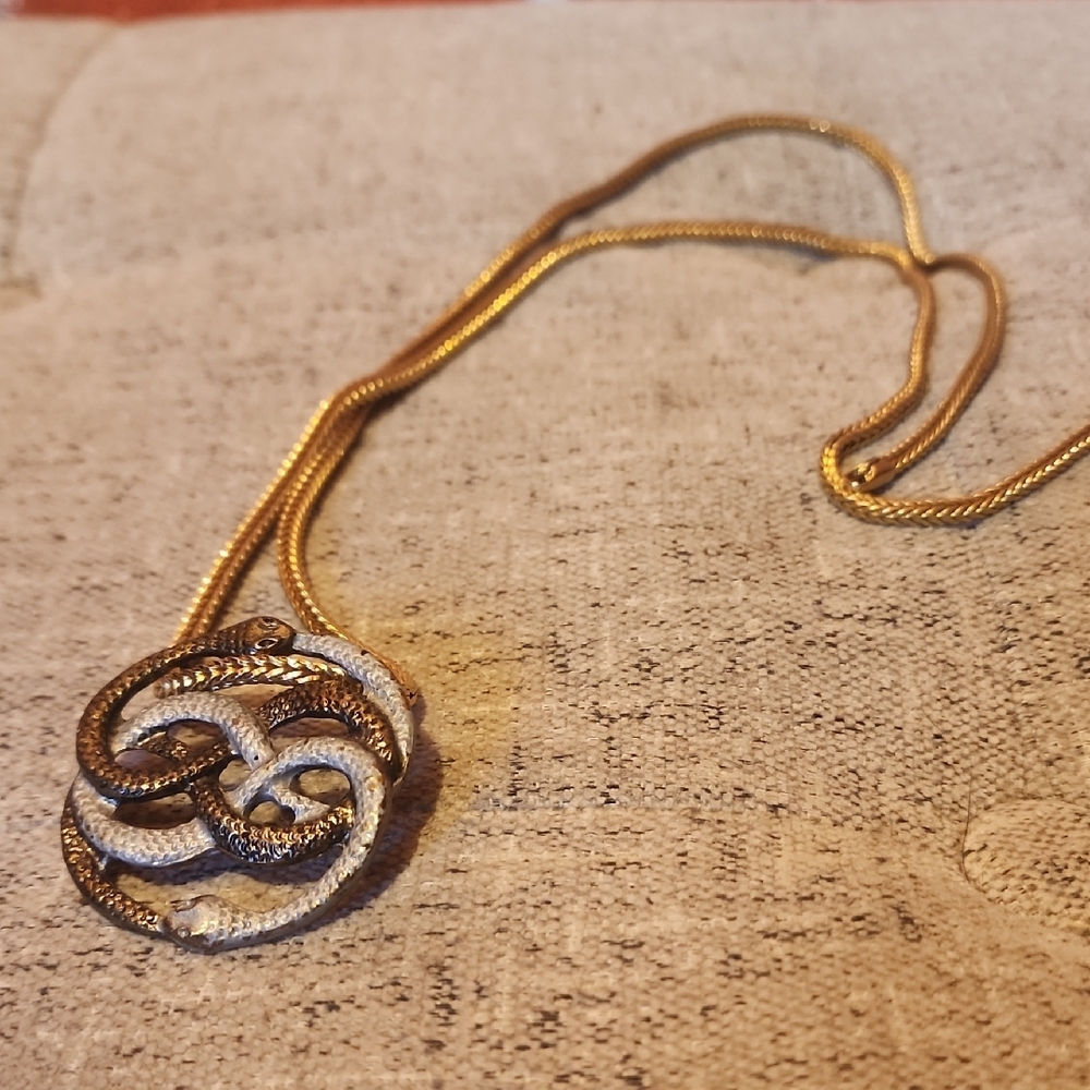 🐍Elegant Ouroboros Gold/Silver Color Pendant Necklace🐍